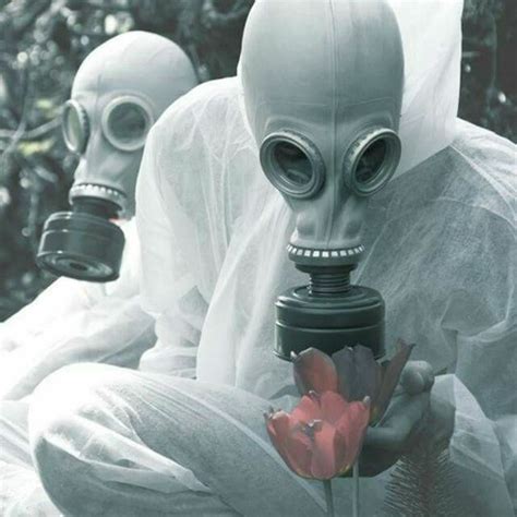 Stream Hot Pressure Stream Acid Steam Laboratory Driving Peaktime Acid Set By