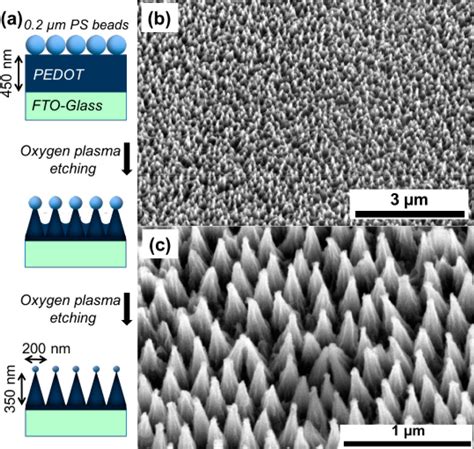 Fabrication Of Pedot Nanocone Arrays With Electrochemically Modulated