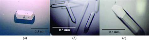 Iucr Crystallization And Preliminary X Ray Analysis Of Pyruvate