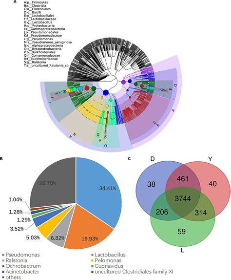 Frontiers Genomic Sequencing Reveals The Diversity Of Seminal