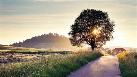 Sunlight Trees Landscape Sunset Hill Nature Building Grass Sky