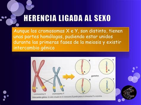 PPT LA HERENCIA BIOLÓGICA PowerPoint Presentation free download ID