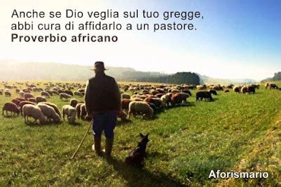 Aforismi Frasi E Proverbi Sui Pastori Aforismario