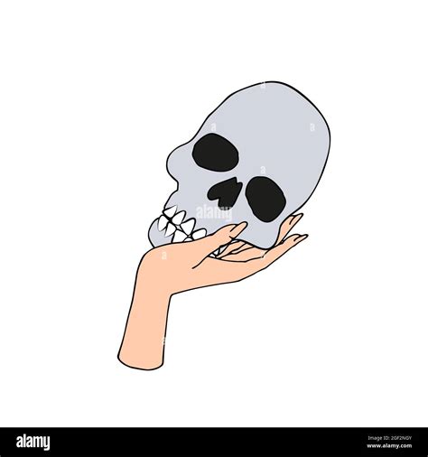 Transparent Human Female Skeleton Stock Vector Images Alamy