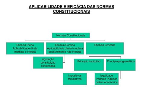 Vig Ncia E Efic Cia Das Normas Constitucionais