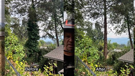 IVY Removal Before After YouTube