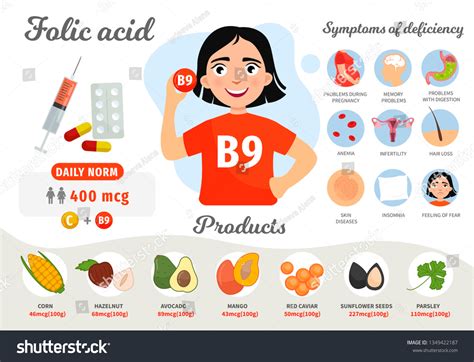 Infographics Vitamin B9 Products Containing Vitamin Stock Vector (Royalty Free) 1349422187 ...