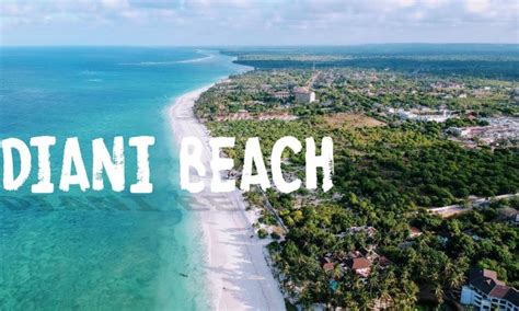 Diani Beach | Kenya Safaris Tours | Kenya Tours | Kenya