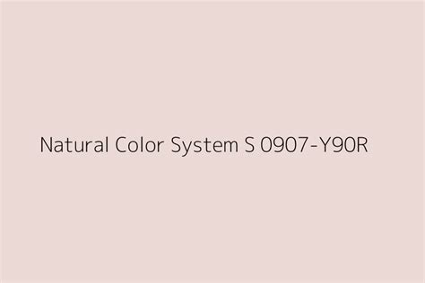 Natural Color System S 0907 Y90R Color HEX Code