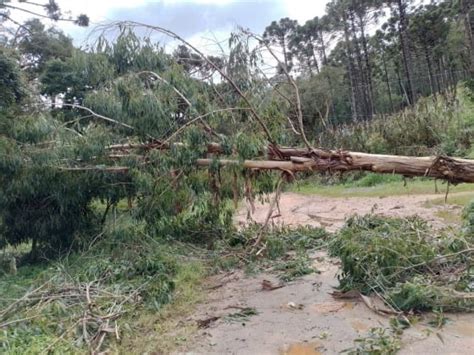 Duas escolas municipais de Campo Largo cancelam aulas após estragos