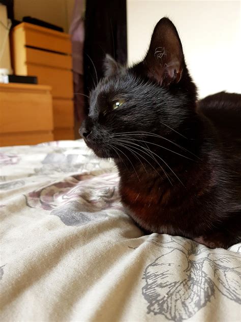 Best Nymph Images On Pholder Digital Art Imaginary Characters And Fairytaleas Fuck