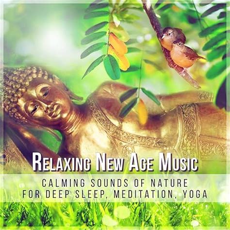 Relaxing New Age Music Calming Sounds Of Nature For Deep Sleep