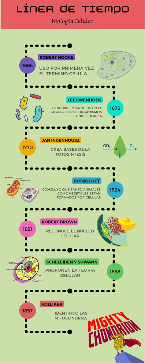 Linea Del Tiempo Biologia Celular 1665 1675 1770 1824 1831 1838 1857