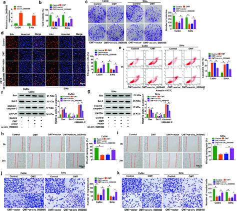 Circ 0008460 Abrogated OMT Induced Inhibition Of CC Cell Malignant