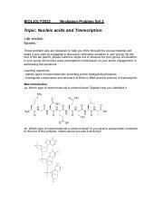 Understanding Nucleic Acids And Transcription For BIOL1101 Course Hero