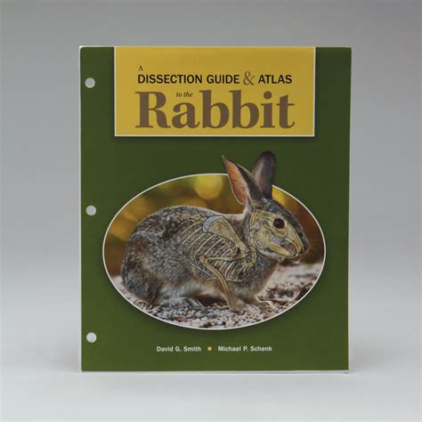 Dissection Guide And Atlas To The Rabbit Carolina Biological Supply