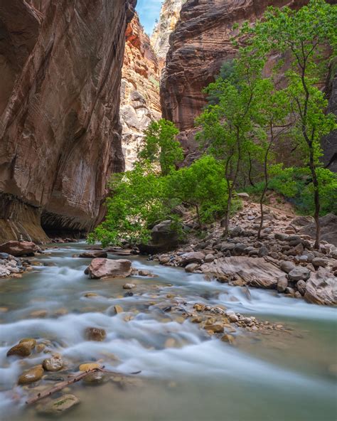 Destination of the day: The Narrows, Zion National Park [OC][4000x5000]