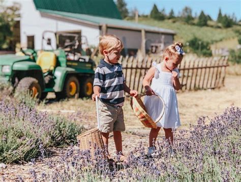 Alexis Delchiaro On Instagram “lavender Fields Forever 💜💜💜 Have You