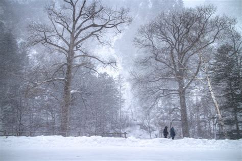 Snow Mountain In Hokkaido, Japan Royalty Free Stock Photography - Image ...