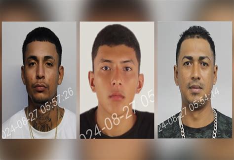 Oij Busca A Estos Hombres Por Asesinato De Embarazada Y Su Hijo De 11