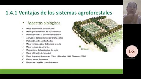 Ventajas BiolÓgicas De Los Sistemas Agroforestales Youtube