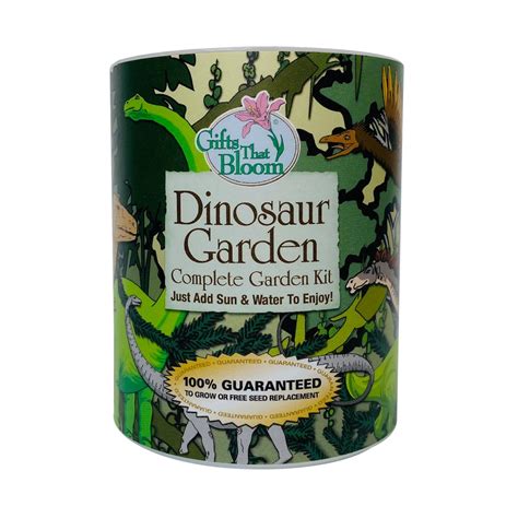 Dinosaur Garden Grocan Etsy