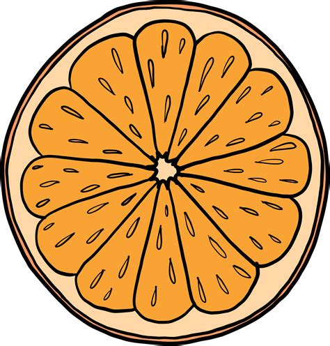 Doodle Dibujo A Mano Alzada De Fruta Naranja 10996400 Png