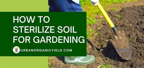 How To Sterilize Soil For Your Garden | UrbanOrganicYield.com