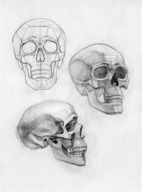 Как нарисовать череп карандашом: поэтапное описание как сделать рисунок ...