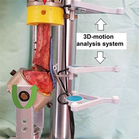 Test Setup For Varus Valgus Bending The Red Arrow Indicates The Load Download Scientific