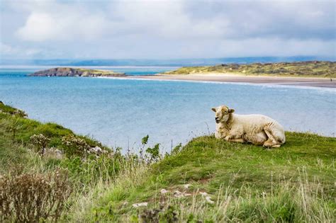 10 Best Beaches in the UK - What is the Most Popular Beach in the UK ...