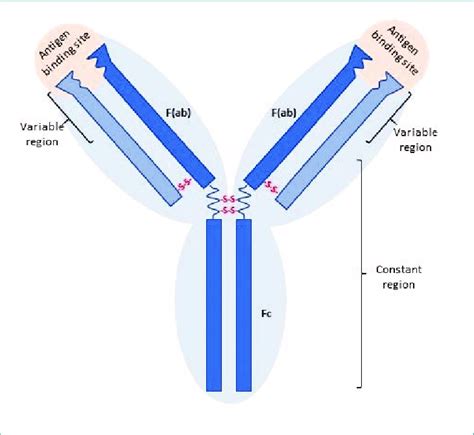 Immune System Superfighters – Current Happenings Across STEM Magazine