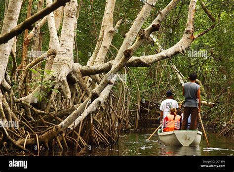 Los Pantanos De Centla Tabasco México Fotografía De Stock Alamy