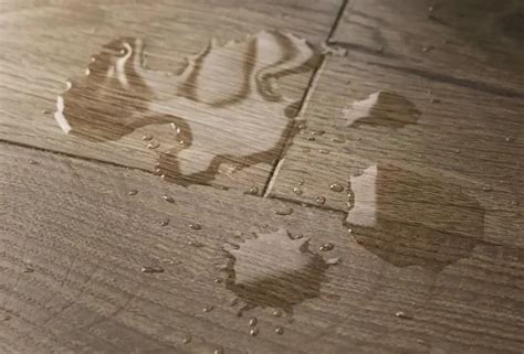 Можно ли мыть ламинат паровой шваброй? | tehome.ru