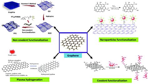 Schematic Showing The Different Types Of Surface Functionalization