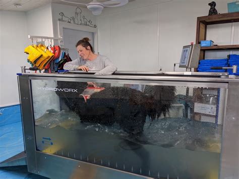 Hydroworx K Canine Hydrotherapy Treadmill For Vets