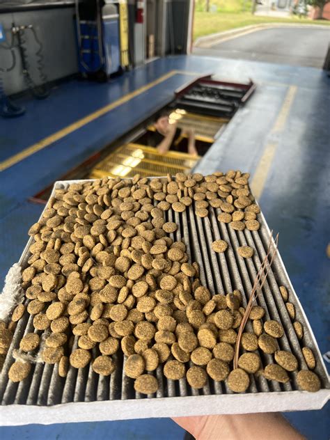 Ruined someone’s snack stash : Justrolledintotheshop