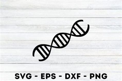 Dna Silhouette Svg Graphic By Magaart Creative Fabrica