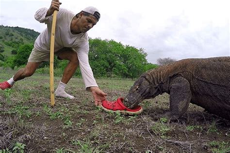 Crocs Por Qué Arrasa En Ventas El Zapato Más Feo Del Mundo Marca