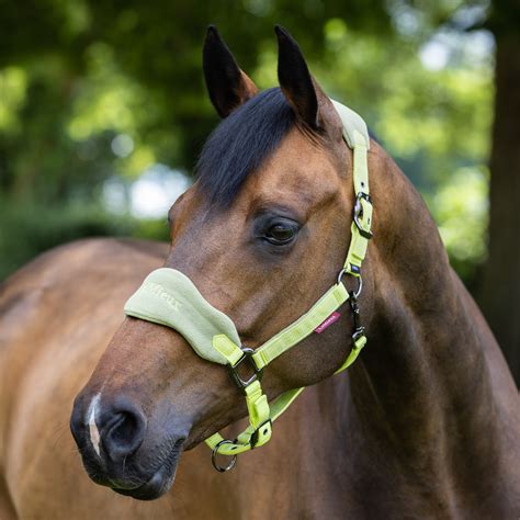 LeMieux Vogue Headcollar And Leadrope Kiwi