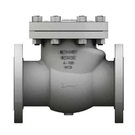 Bonney Forge Cast Steel Check Valve Alyamitech