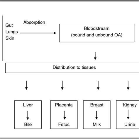 Molecular structure of ochratoxin A. | Download Scientific Diagram