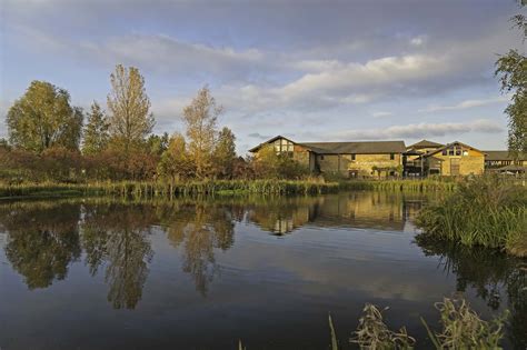 WWT London Wetland Centre WILD LONDON