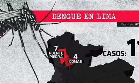 Dengue Minsa Confirma 11 Casos En El Cono Norte De Lima