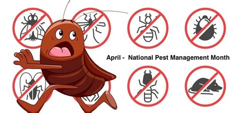 Proactive Steps To Take To Prevent Pest Infestations Npma Nj Pest