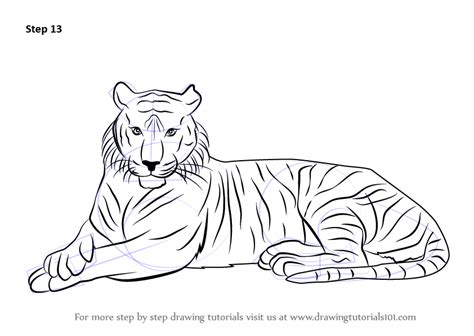 How To Draw A Bengal Tiger Step By Step Easy | lagoncatinfo