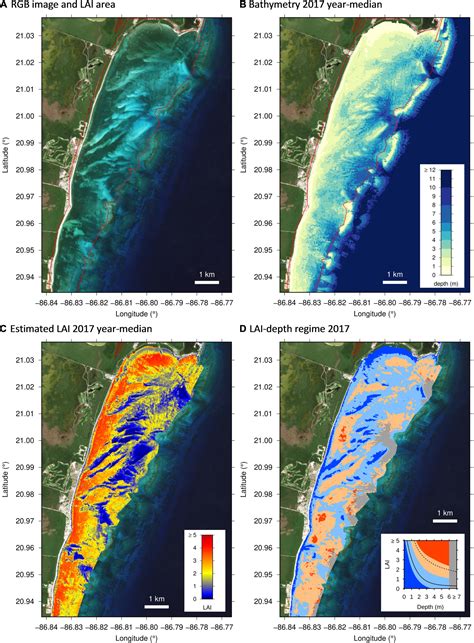 Frontiers Seagrass Depth Distribution Mirrors Coastal Development In The Mexican Caribbean