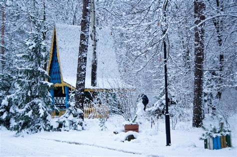 Санаторий Пралеска фото, купить путевку в Пралеска, отдых в Беларуси