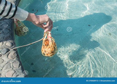 Boiled Egg In Hot Spring At San Kamphaeng Hot Springs Chiang Mai Thailand Stock Image Image