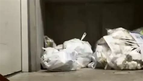 Charming Wife Magicwand Masturbation Porn Xhamster